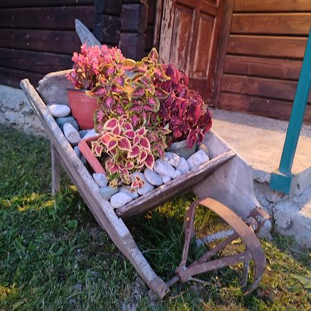 Bungalovi Vukovic Mojkovac Luaran gambar